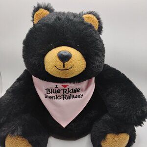 Blue Ridge Scenic Railroad Soft Teddy Bear, Excellent Condition